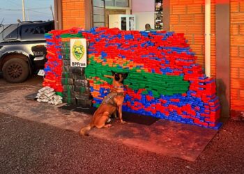 Batalhão de Fronteira apreende mais de 1300 quilos de maconha em Fiat Toro, veja o vídeo