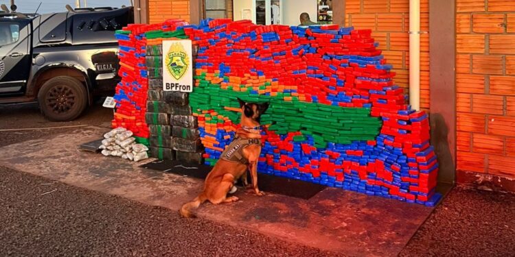 Batalhão de Fronteira apreende mais de 1300 quilos de maconha em Fiat Toro, veja o vídeo