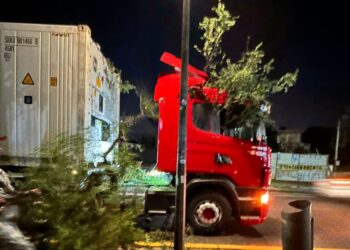 Caminhoneiro embriagado arranca árvore no Batel e acaba preso