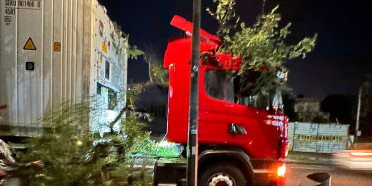 Caminhoneiro embriagado arranca árvore no Batel e acaba preso