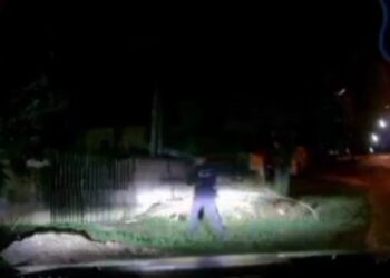 Criminoso que estava furtando fio acha que ficou “invisível” e acaba preso pela Guarda Municipal, veja o vídeo