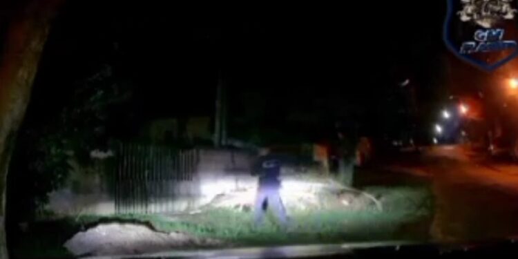 Criminoso que estava furtando fio acha que ficou “invisível” e acaba preso pela Guarda Municipal, veja o vídeo