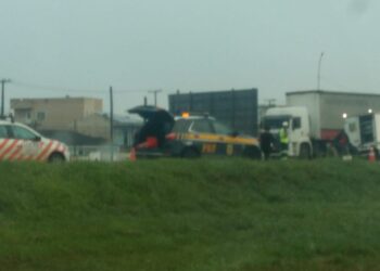 Homem morre atropelado no Contorno Leste em São José dos Pinhais