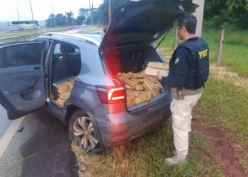 PRF apreende no Paraná quase 4 toneladas de maconha