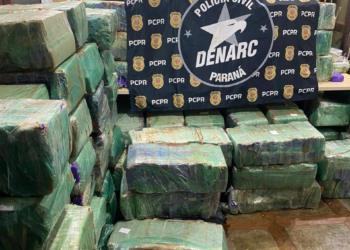 DENARC apreende 1,9 tonelada de maconha