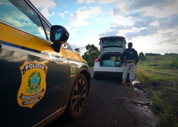 PRF prende casal com meia tonelada de maconha no Paraná