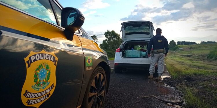 PRF prende casal com meia tonelada de maconha no Paraná