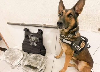 PCPR e PRF apreendem 18 quilos de haxixe