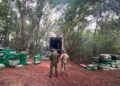 Polícias Militar e Federal apreendem mais de cinco toneladas de maconha
