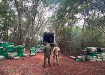 Polícias Militar e Federal apreendem mais de cinco toneladas de maconha