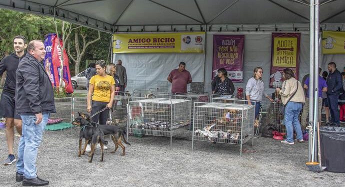 Amigo Bicho registra 25 adoções de cães e doação de 1 tonelada de ração