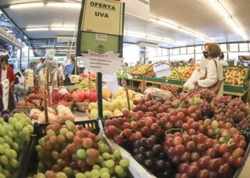 Frutas e hortaliças do outono-inverno já estão disponíveis nos Sacolões da Família de Curitiba