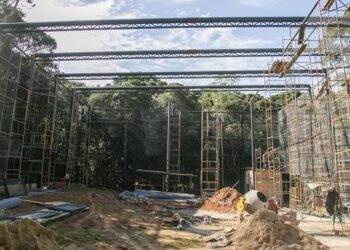 Zoológico de Curitiba passa por ampla revitalização, com criação de novos recintos para felinos e aves