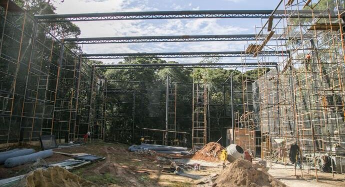 Zoológico de Curitiba passa por ampla revitalização, com criação de novos recintos para felinos e aves