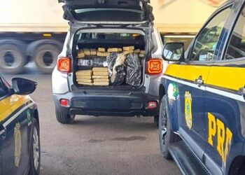 PRF apreende quase uma tonelada de drogas no Paraná