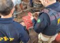 PRF localiza grande quantidade de maconha em pneus de carreta