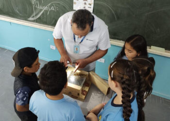 Sanepar amplia ações de preservação de abelhas nativas na Região Metropolitana de Curitiba
