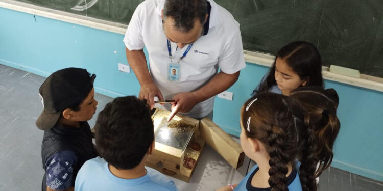 Sanepar amplia ações de preservação de abelhas nativas na Região Metropolitana de Curitiba