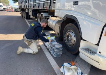 PRF apreende na fronteira droga avaliada em mais de R$ 15 milhões