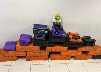 CHOQUE detém traficante e aprende 320 quilos de maconha em Pinhais