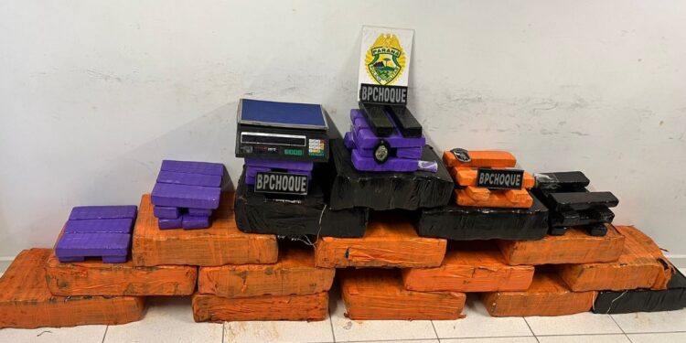 CHOQUE detém traficante e aprende 320 quilos de maconha em Pinhais