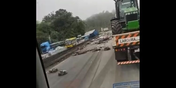 Colisão envolvendo dois caminhões e ônibus escolar deixa trânsito lento na BR-116, veja o vídeo