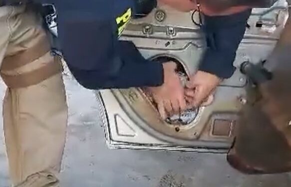 Polícia Rodoviária Federal apreende arsenal durante abordagem na BR-369