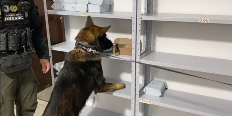 Polícia Civil realiza operação em Curitiba e detém individiu que produzia e vendia óleo medicinal de maconha