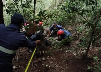 Tragédia no Paraná: Mulher é encontrada morta após desaparecimento
