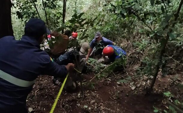 Tragédia no Paraná: Mulher é encontrada morta após desaparecimento