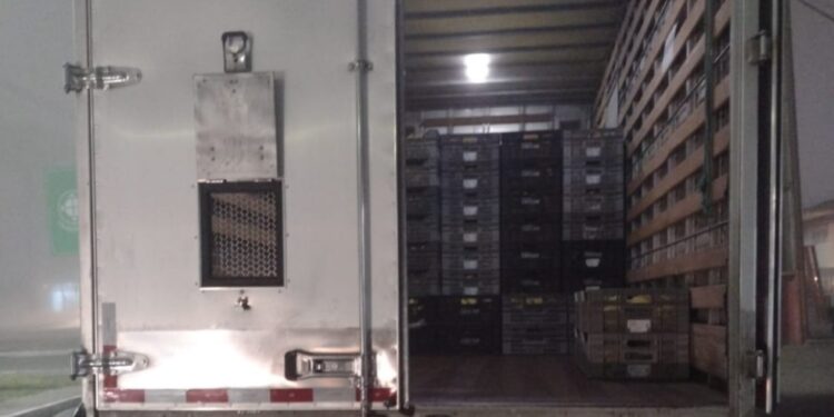 Polícia Militar derruba grande esquema de desvio de cargas na CEASA de Curitiba