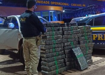 PRF intensifica fiscalização e apreende mais drogas e armas em 2023 no Paraná