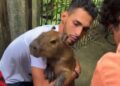 Capivara Filó é devolvida a Tiktoker após decisão judicial