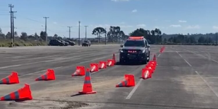 Policiais militares recebem treinamento com a ROTAM e ROCAM em Curitiba, veja o vídeo