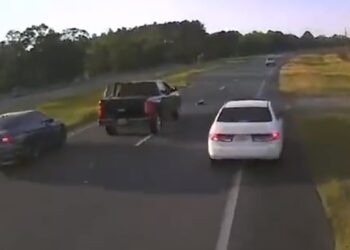 Motorista causa acidentes ao tentar parar em rodovia para salvar tartaruga