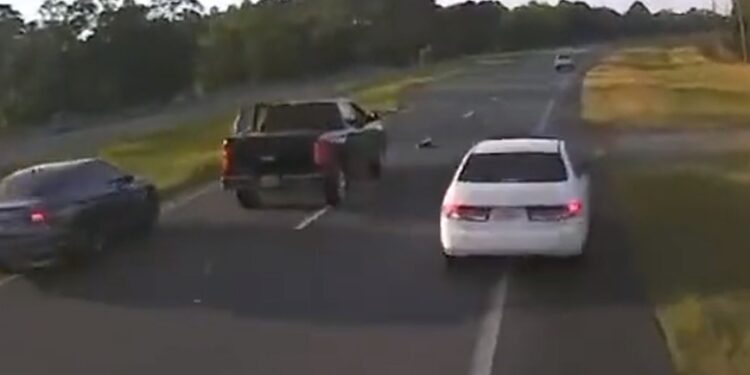 Motorista causa acidentes ao tentar parar em rodovia para salvar tartaruga