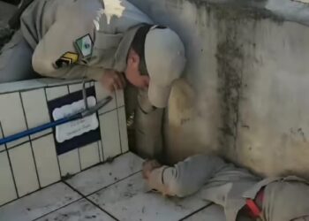 Corpo de Bombeiros realiza resgate emocionante dentro de cemitério, veja o vídeo