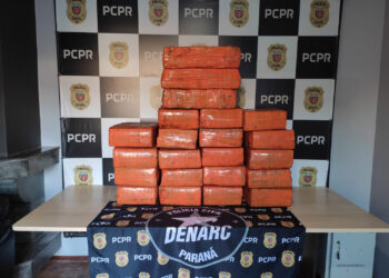 PCPR apreende 434 quilos de maconha e prende mulher por tráfico de drogas