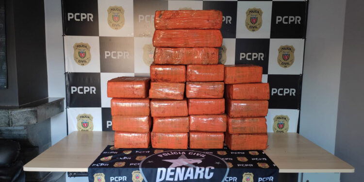 PCPR apreende 434 quilos de maconha e prende mulher por tráfico de drogas