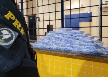 PRF prende casal com mais de 50 quilos de cocaína no Paraná; assista