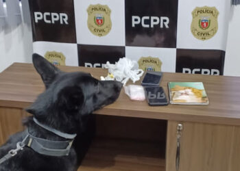 Polícia Civil prende trio envolvido em homicídio e tentativa de homicídio no Paraná