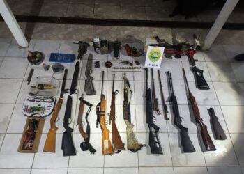 Polícia Militar prende mulher suspeita de fabricar armas de fogo na Região Metropolitana de Curitiba