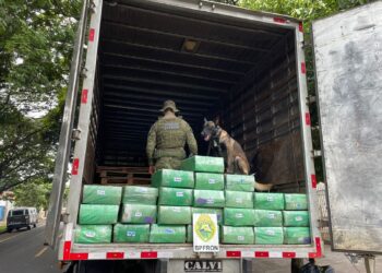 Polícia Militar prende homem e apreende 700 quilos de maconha