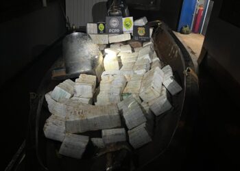 Forças de segurança apreendem mais de uma tonelada de drogas na Operação Fronteiras e Divisas