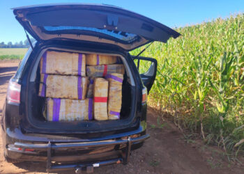 Polícia Militar apreende mais de uma tonelada de droga