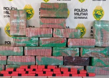 Polícia Militar prende indivíduo de 19 anos com 450 quilos de maconha