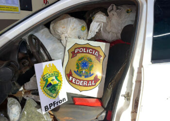 Polícias Militar e Federal apreendem mais de 600 quilos de droga