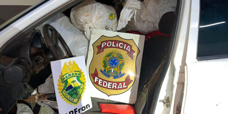 Polícias Militar e Federal apreendem mais de 600 quilos de droga