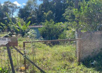 Corpo de mulher é encontrado enterrado em residência abandonada em área rural de São José dos Pinhais