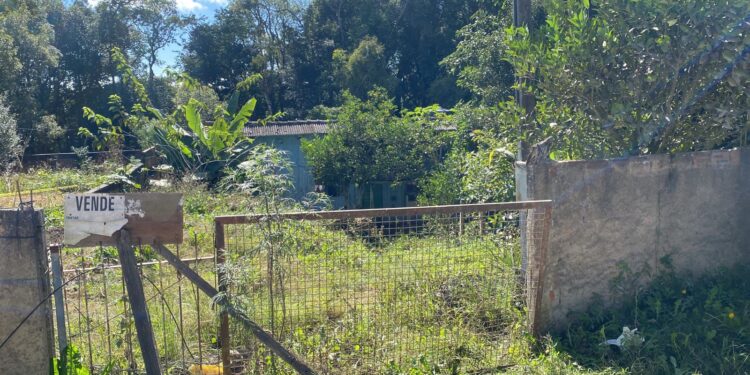 Corpo de mulher é encontrado enterrado em residência abandonada em área rural de São José dos Pinhais